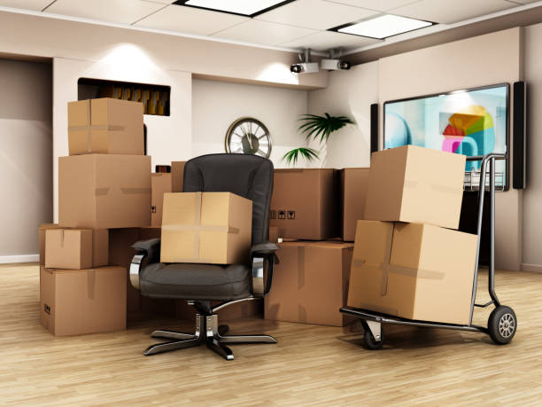 Service au professionnel